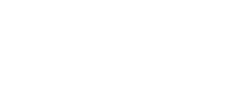 light logo
